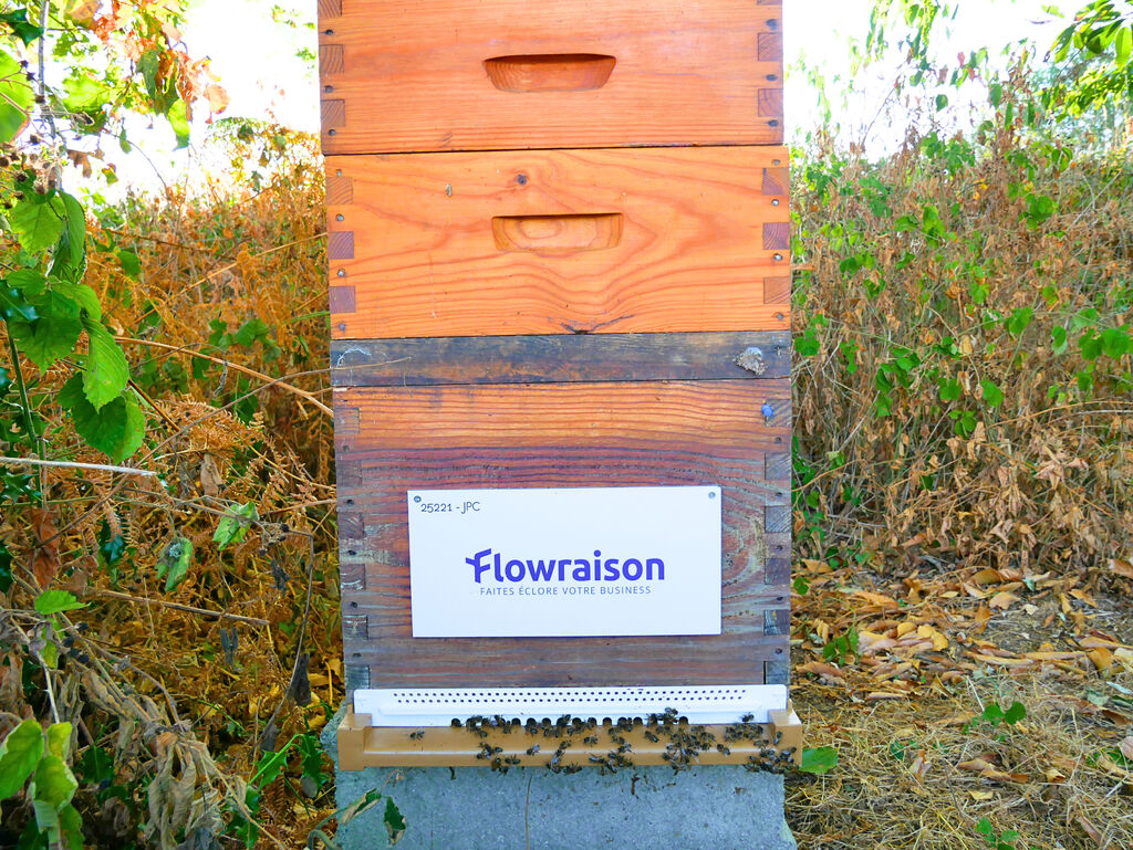La ruche Flowraison