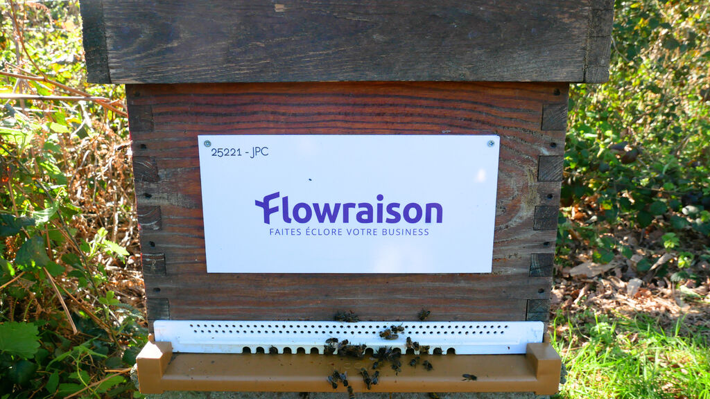 La ruche Flowraison