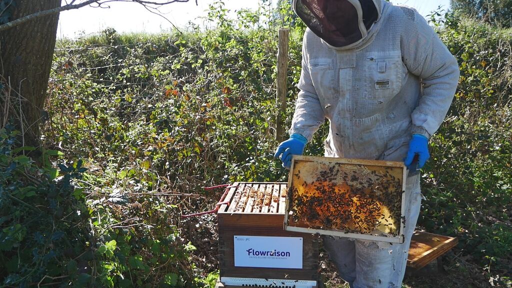 La ruche Flowraison