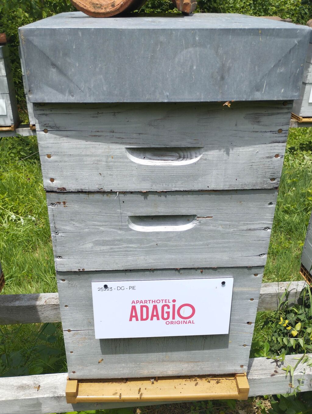La ruche Adagio Annecy Centre