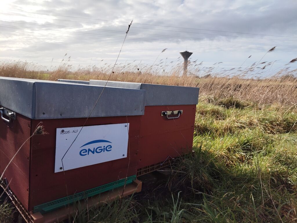 La ruche ENGIE - MPPA
