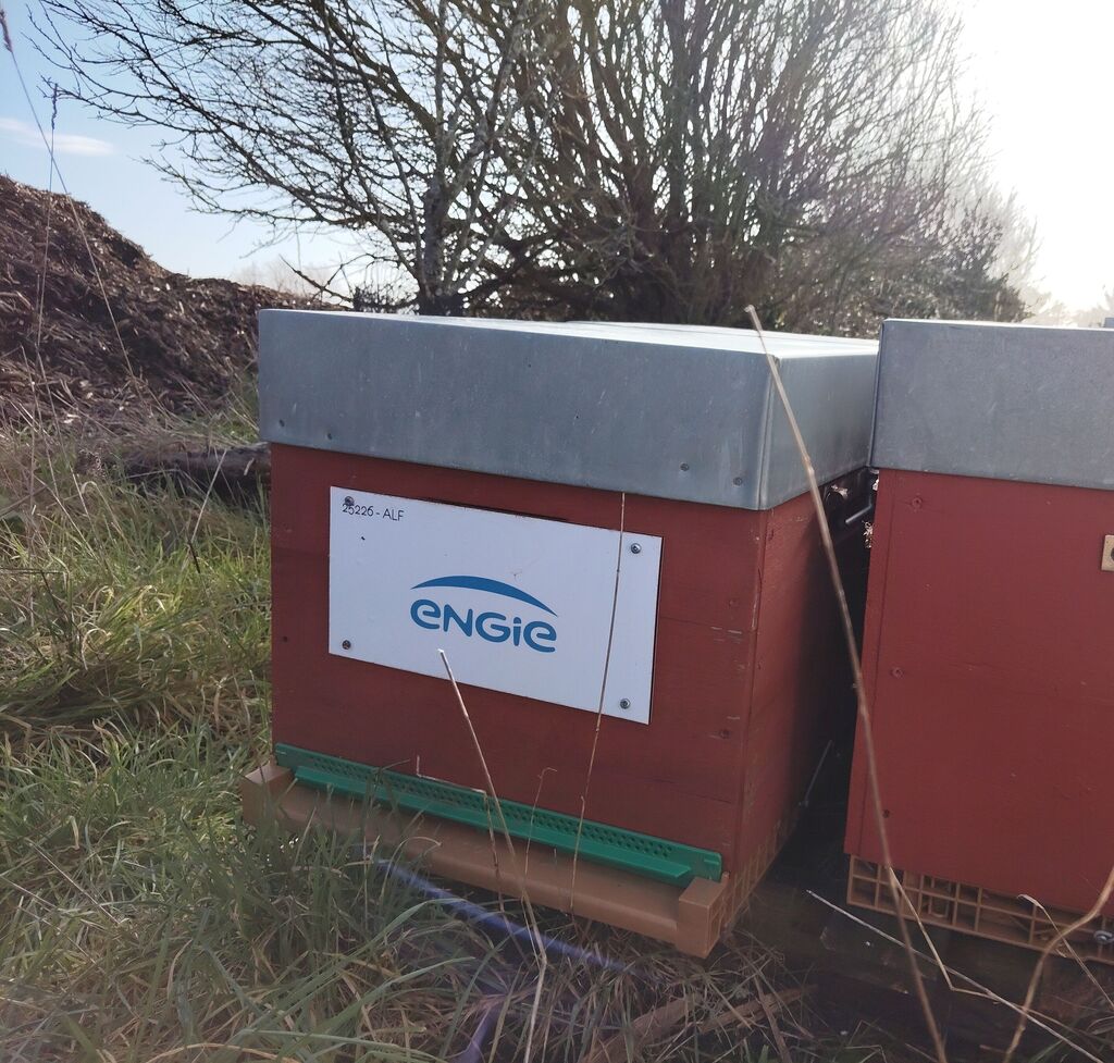 La ruche ENGIE - MPPA