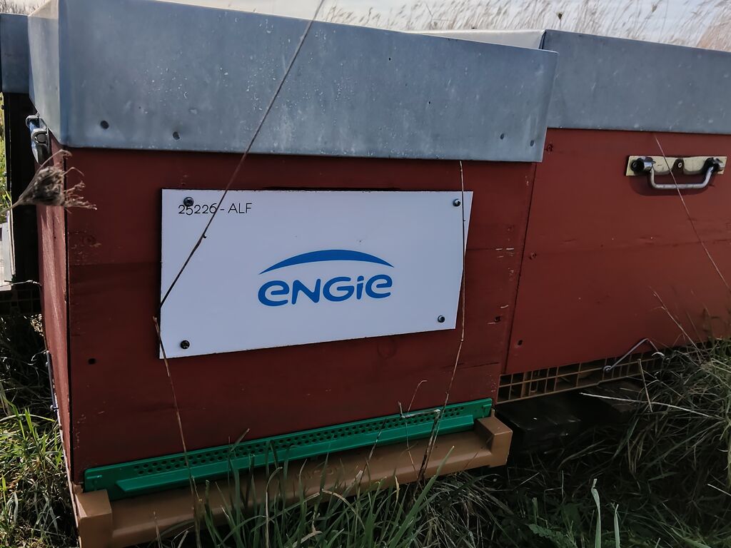 La ruche ENGIE - MPPA
