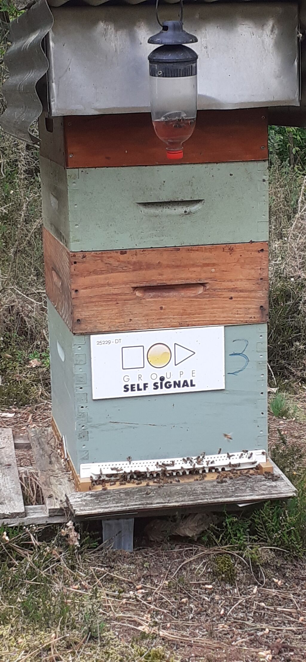 La ruche Self Signal