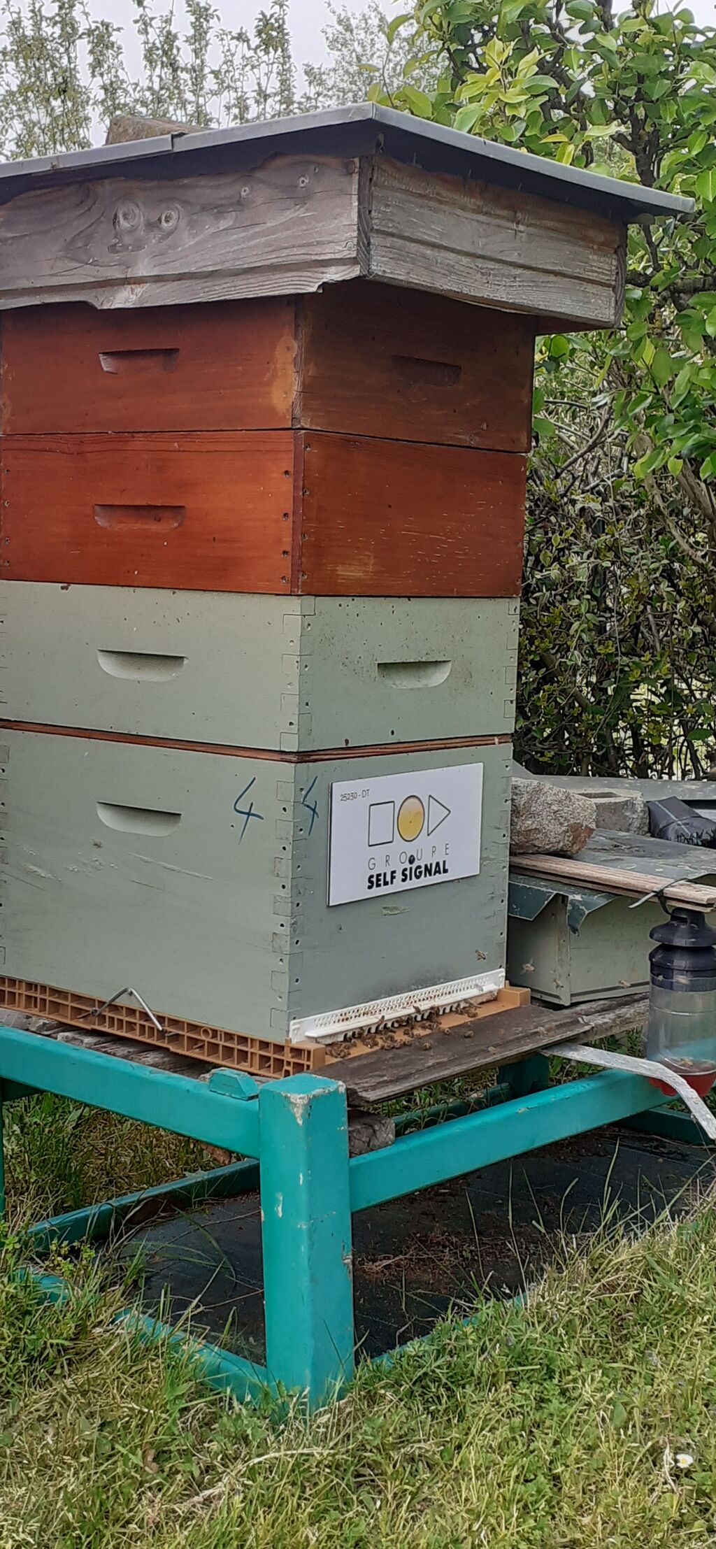 La ruche Self Signal