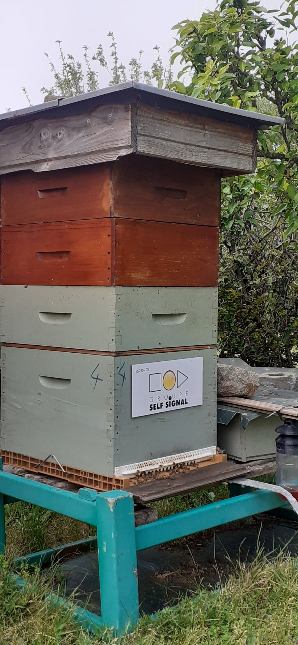 La ruche Self Signal