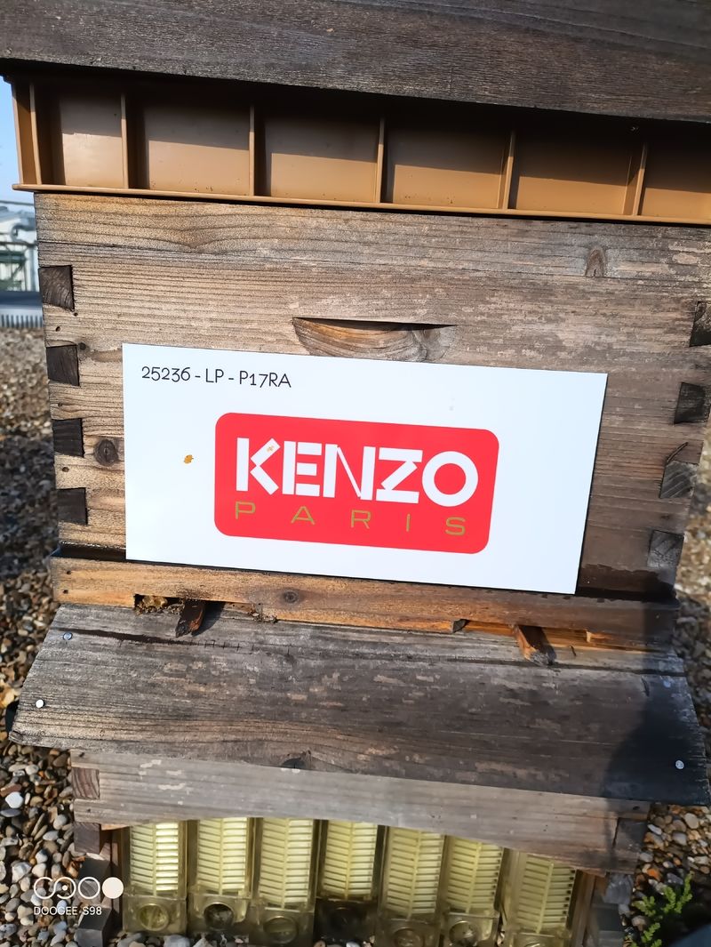La ruche Kenzo