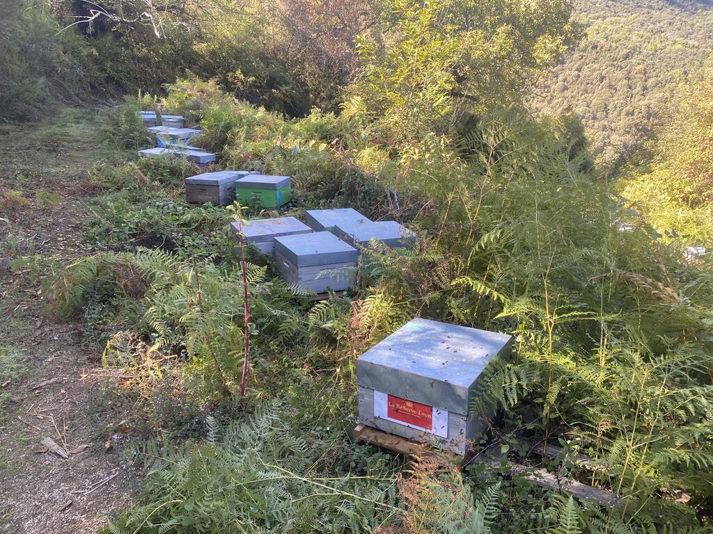 La ruche SARL ESPACE HESTIA