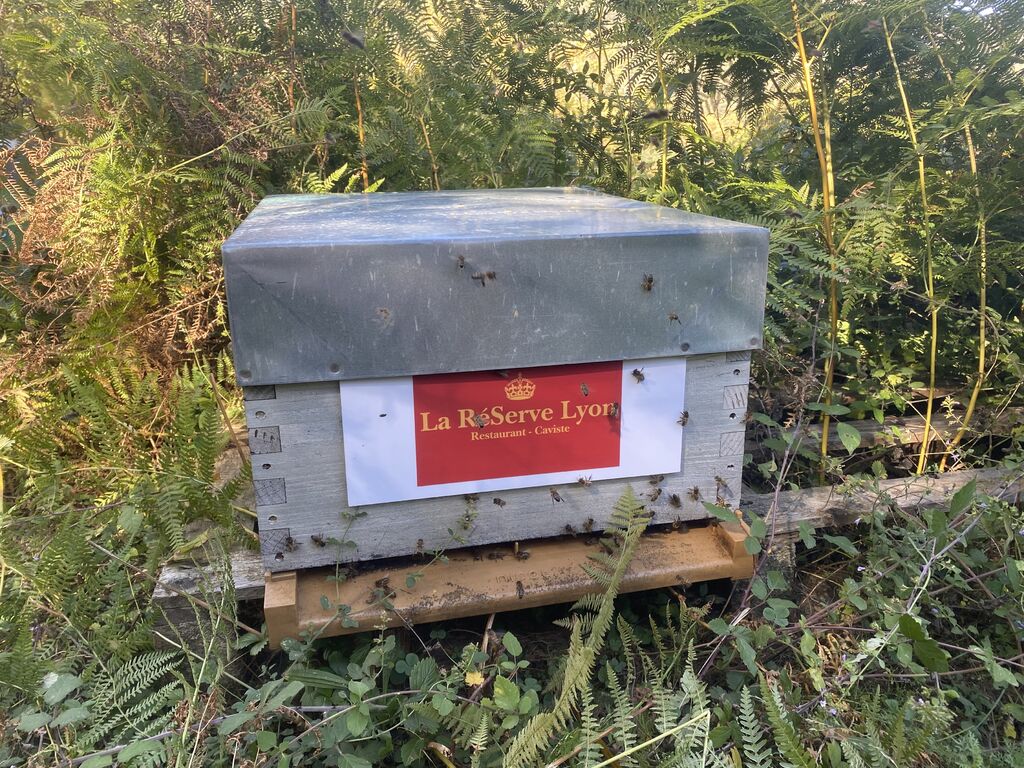 La ruche SARL ESPACE HESTIA