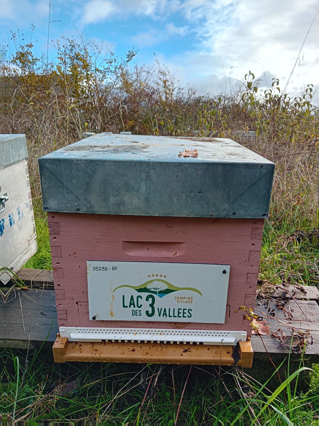 La ruche S.A.S. Lac des 3 Vallées