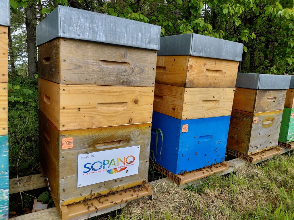 La ruche SOPANO