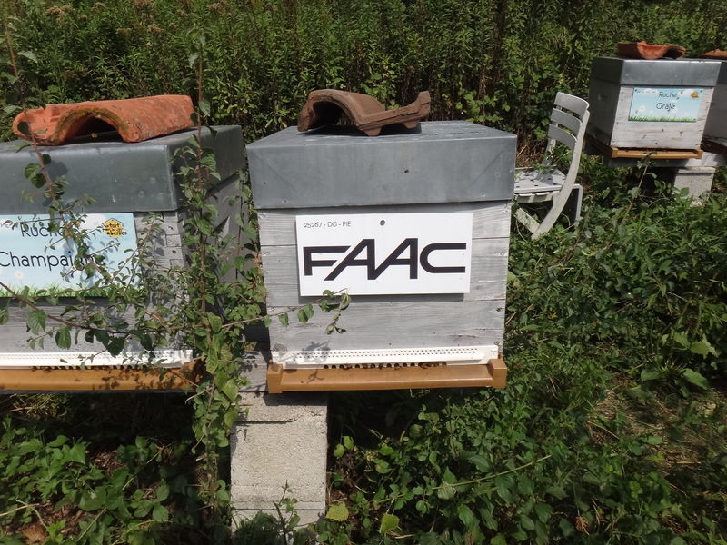 La ruche FAAC FRANCE
