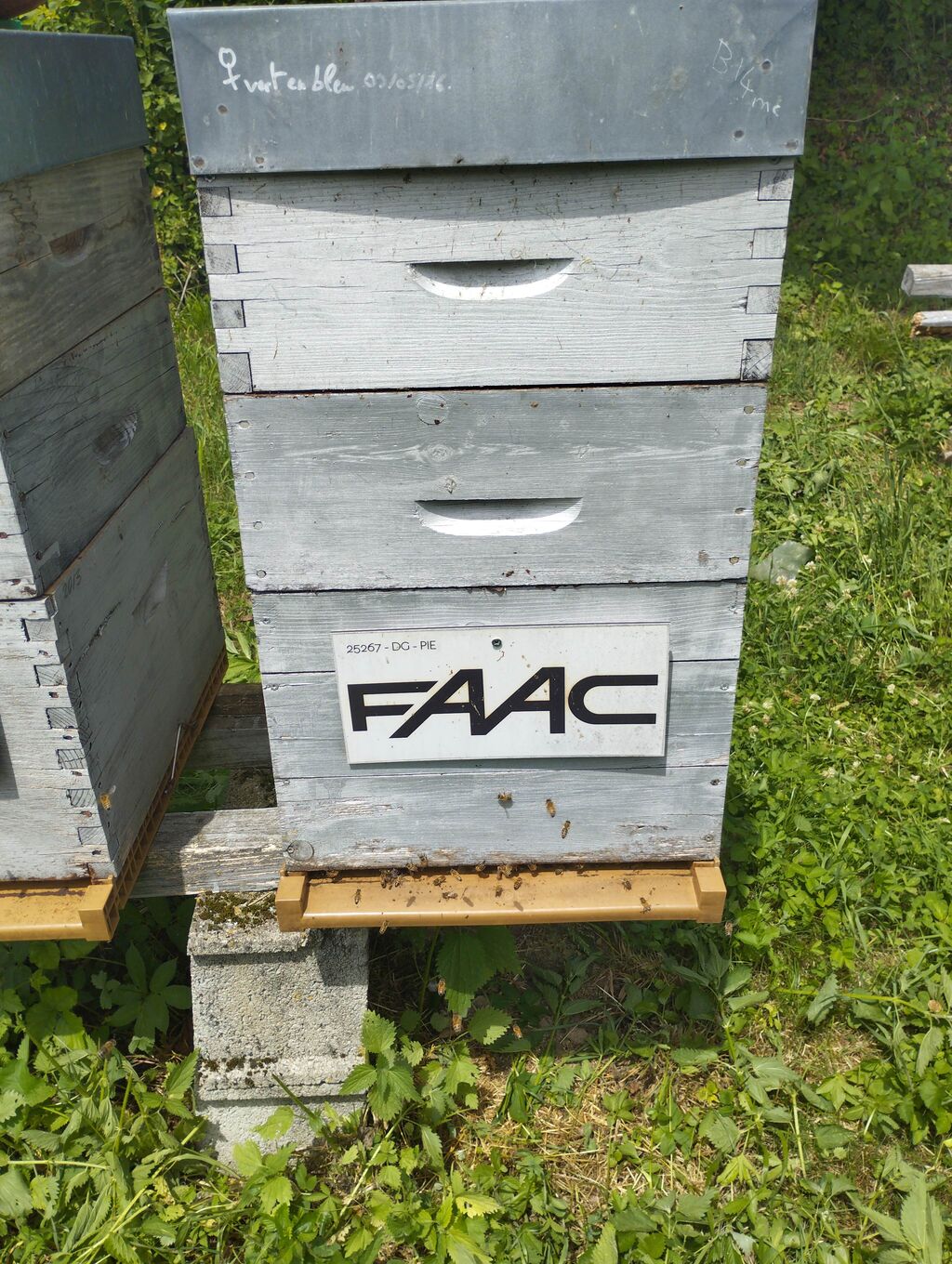 La ruche Faac france