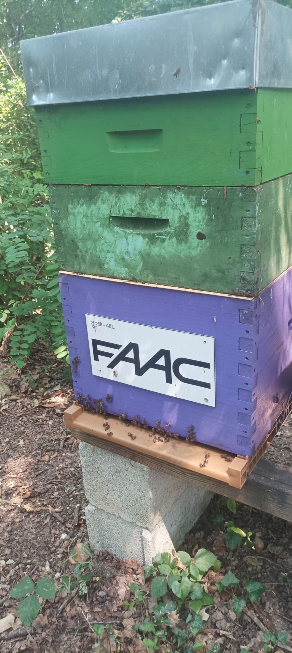La ruche Faac france