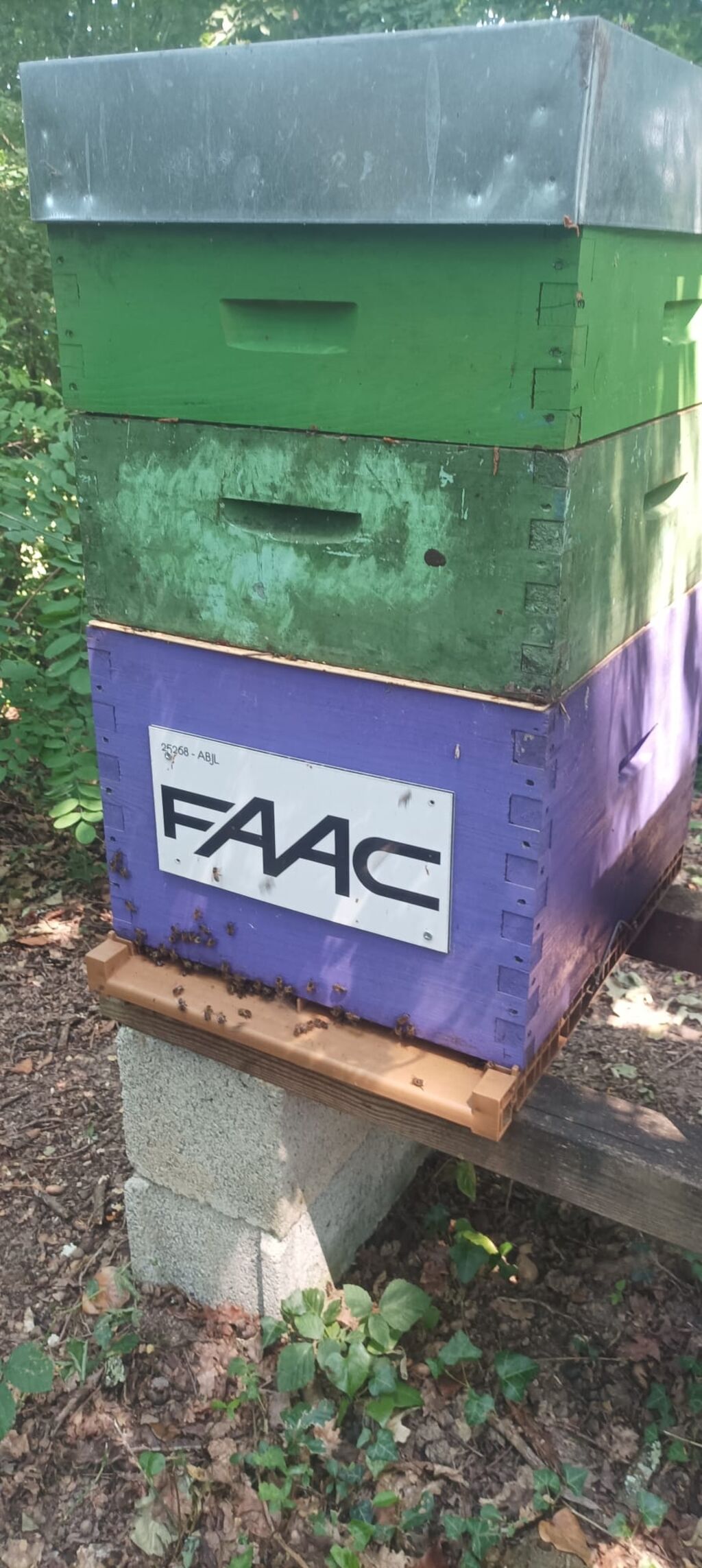 La ruche Faac france