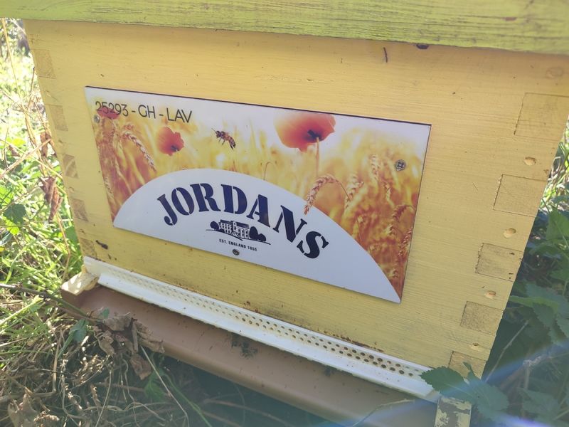 La ruche Jordans dorset ryvita