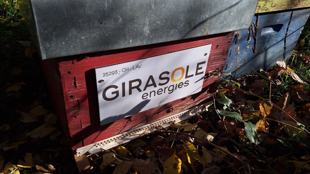 La ruche GIRASOLE SERVICES