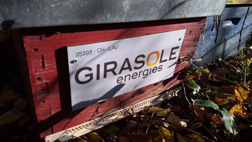 La ruche GIRASOLE SERVICES