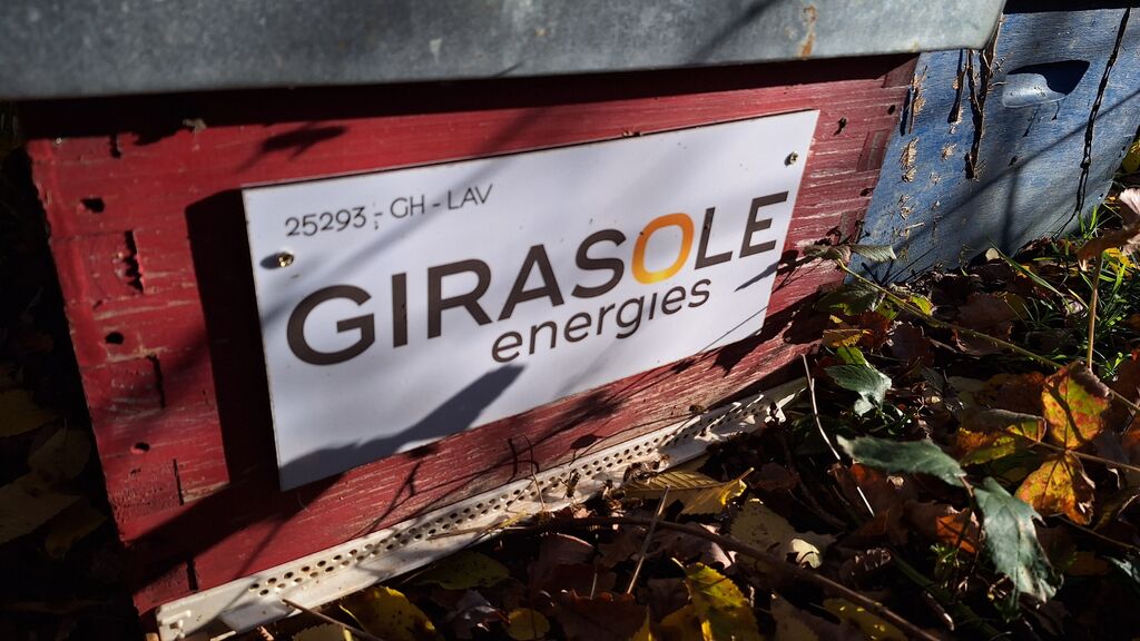 La ruche GIRASOLE SERVICES