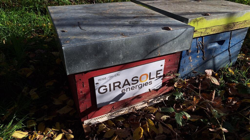 La ruche GIRASOLE SERVICES