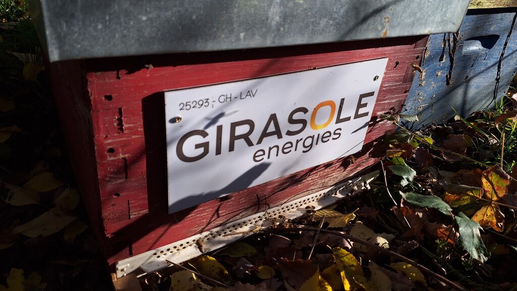 La ruche GIRASOLE SERVICES