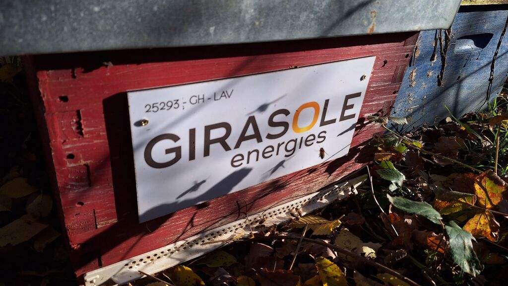 La ruche GIRASOLE SERVICES