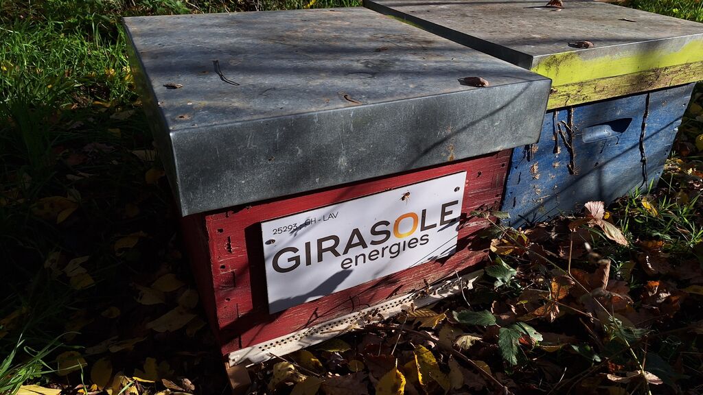 La ruche GIRASOLE SERVICES