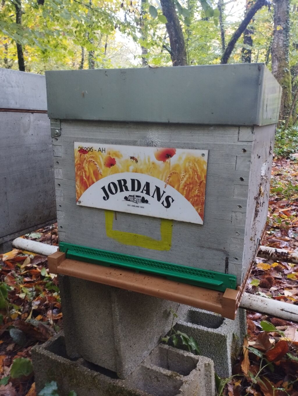 La ruche Jordans dorset ryvita