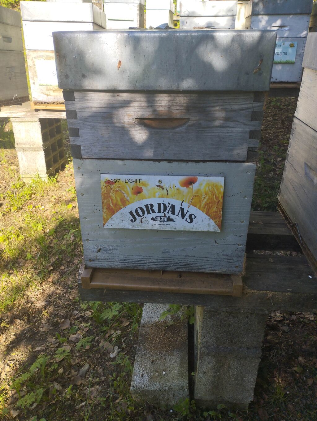 La ruche Jordans dorset ryvita