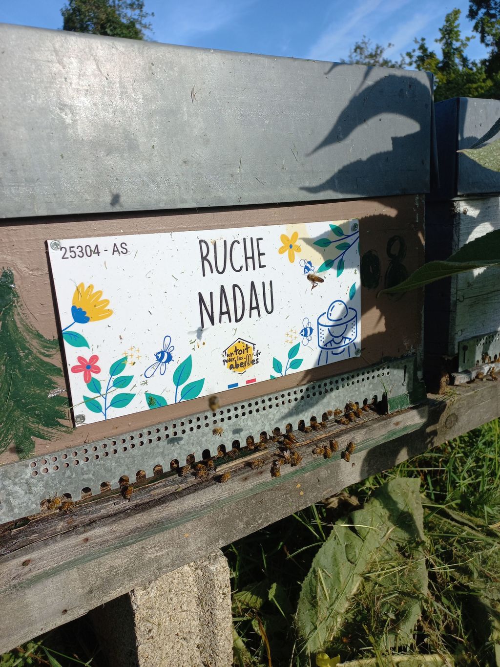 La ruche Nadau