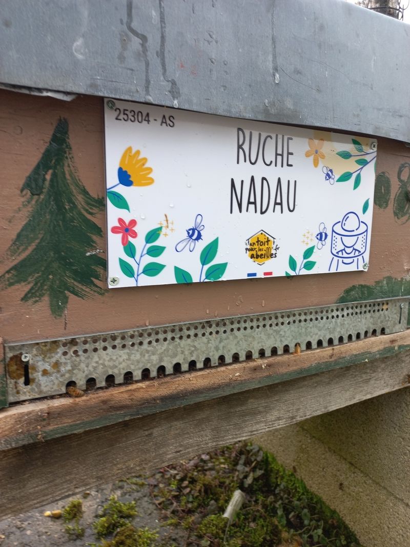 La ruche