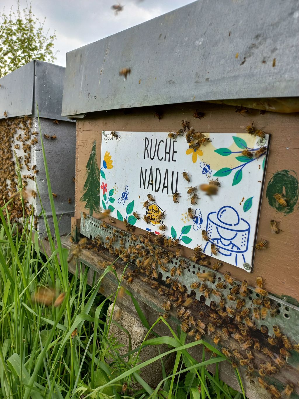 La ruche Nadau