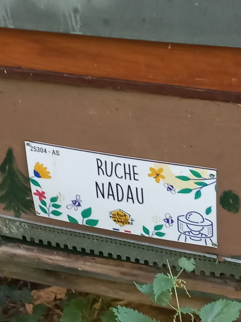 La ruche Nadau