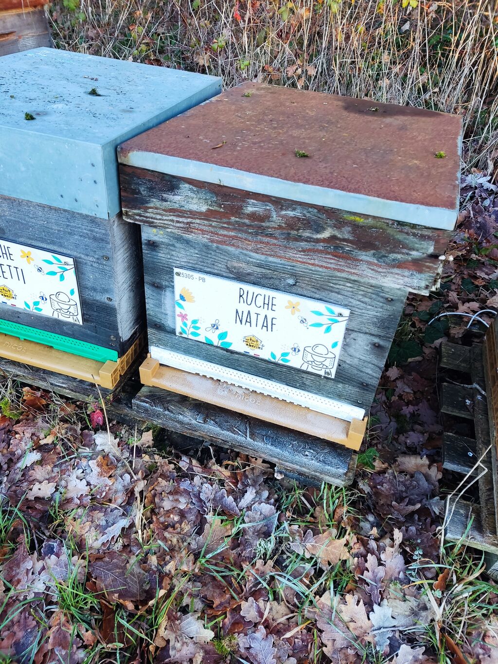 La ruche Nataf