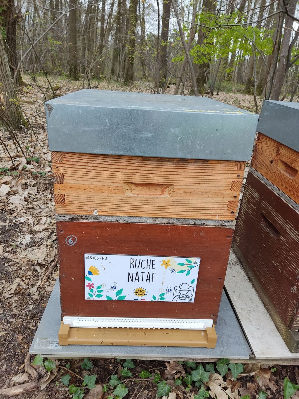 La ruche Nataf