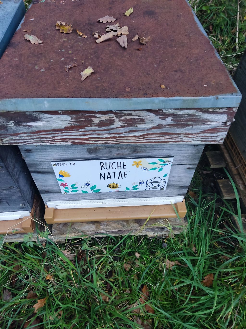 La ruche Nataf