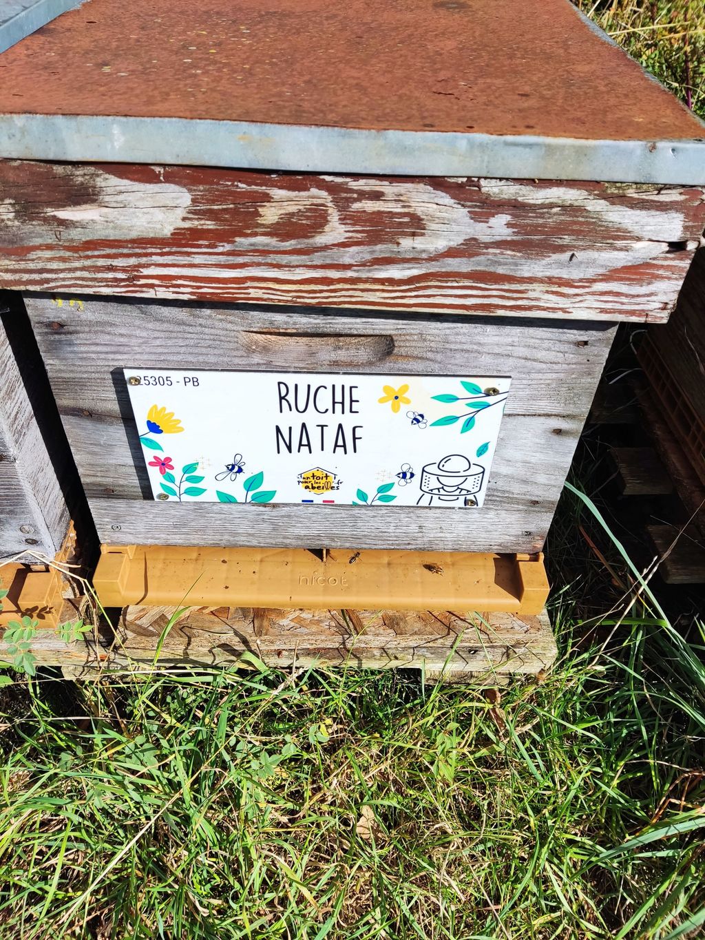 La ruche Nataf