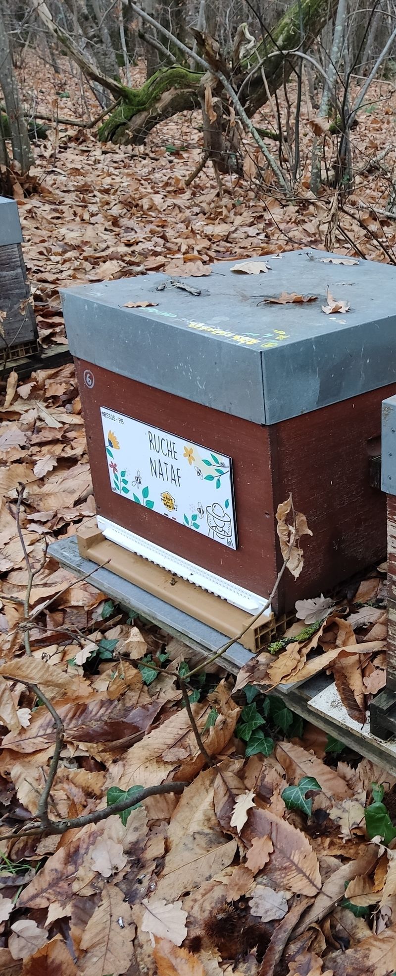 La ruche Nataf