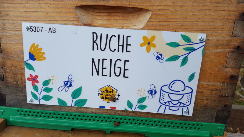 La ruche Neige
