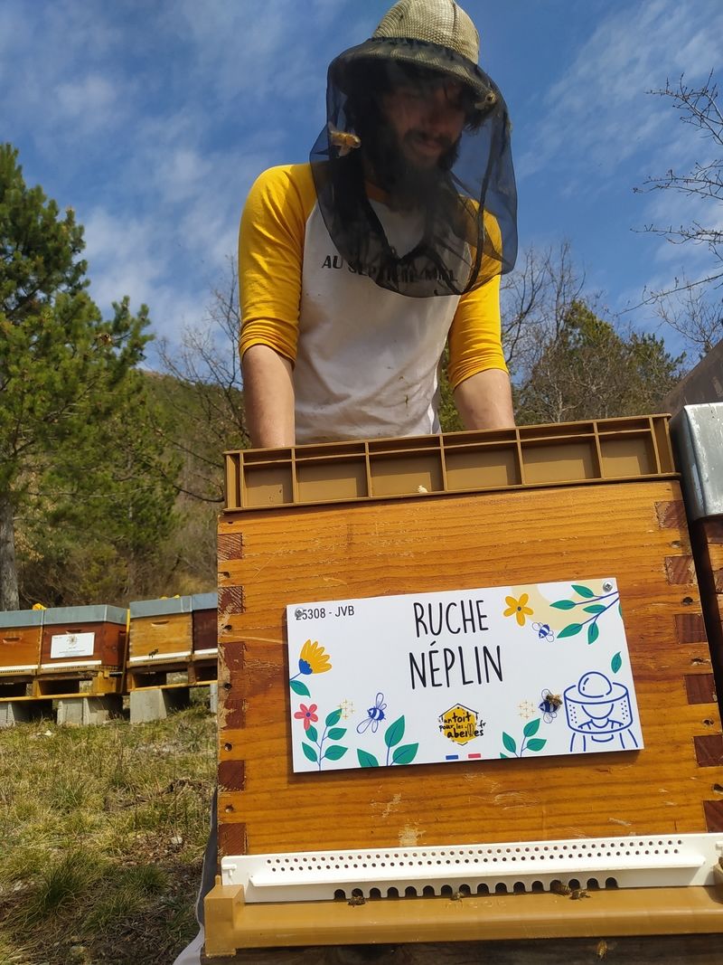 La ruche Néplin