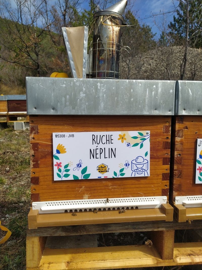 La ruche Néplin