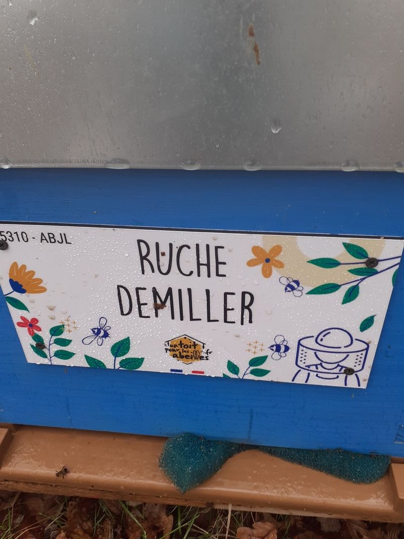 La ruche Demiller