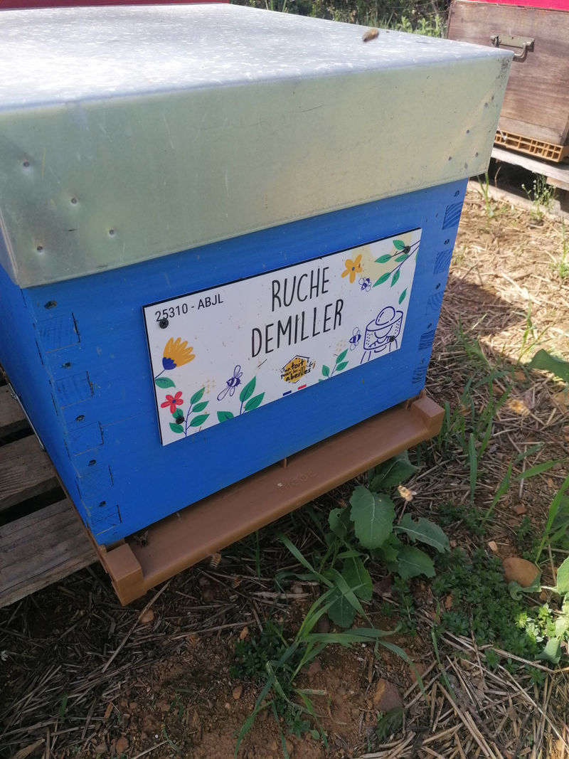 La ruche Demiller