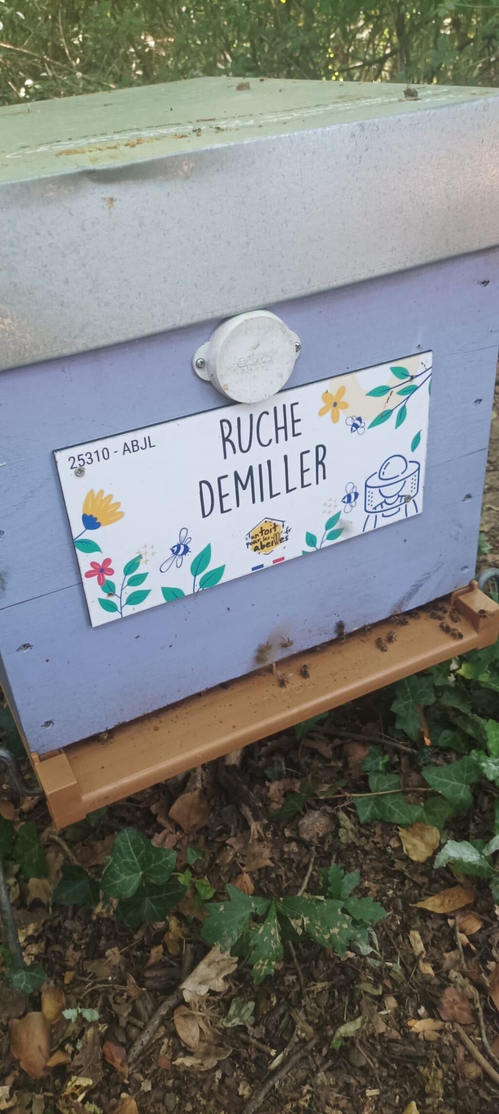 La ruche Demiller