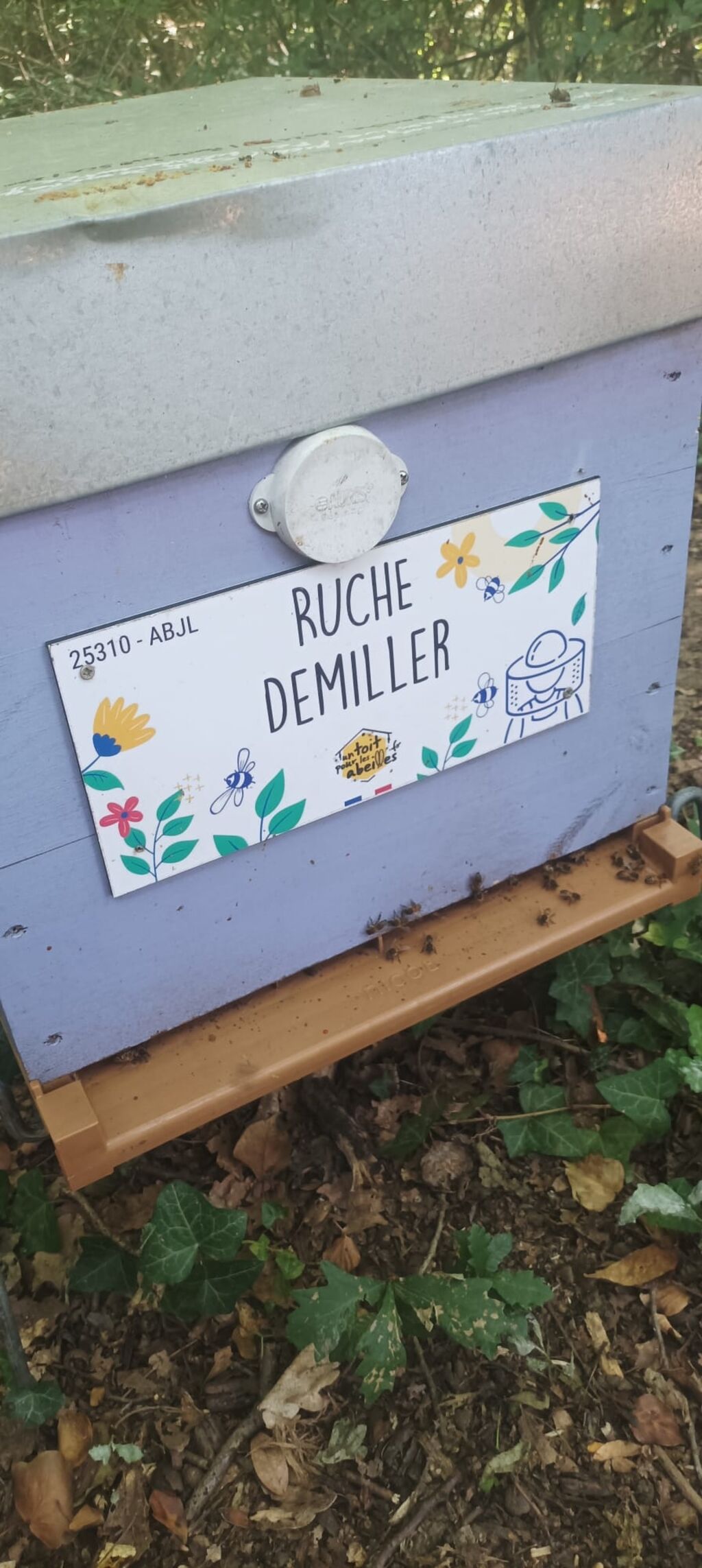 La ruche Demiller