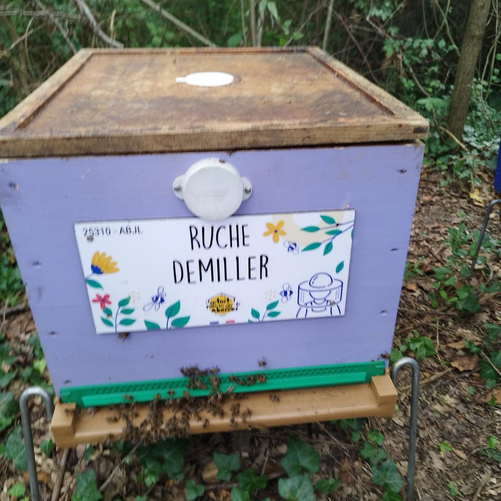 La ruche Demiller