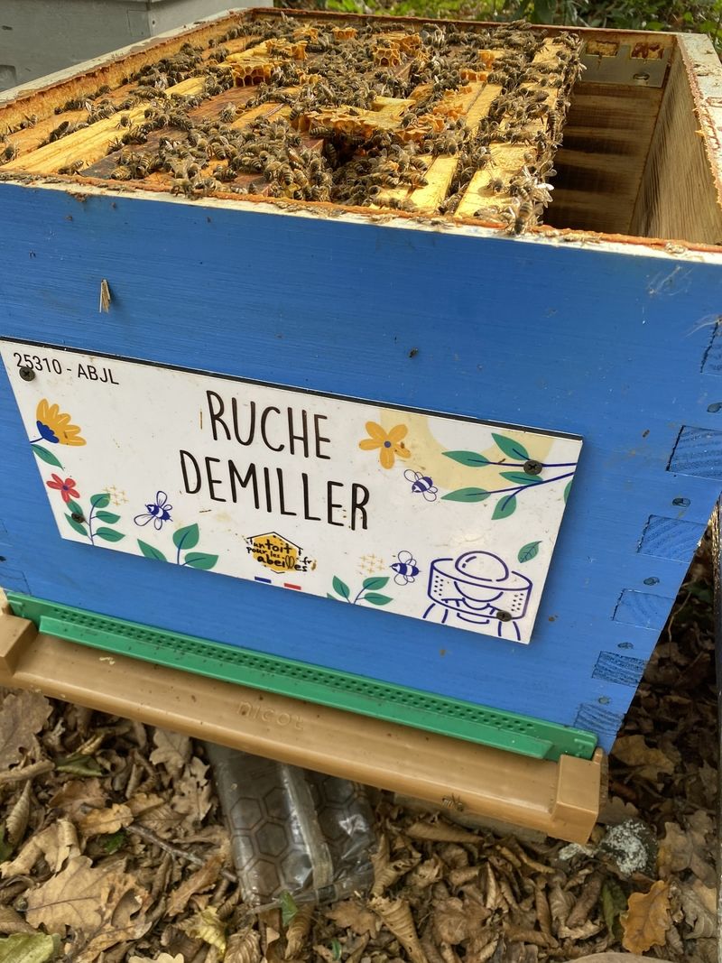 La ruche Demiller