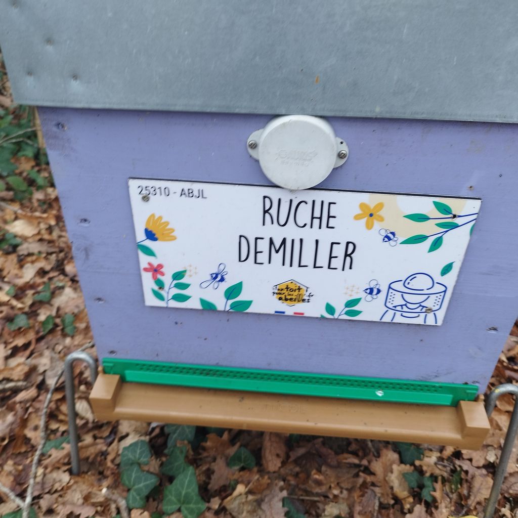 La ruche Demiller