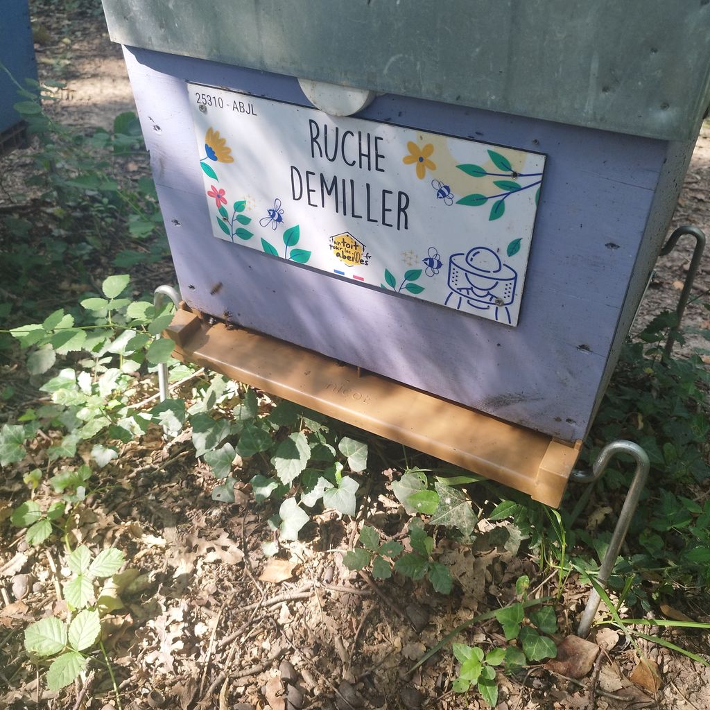 La ruche Demiller