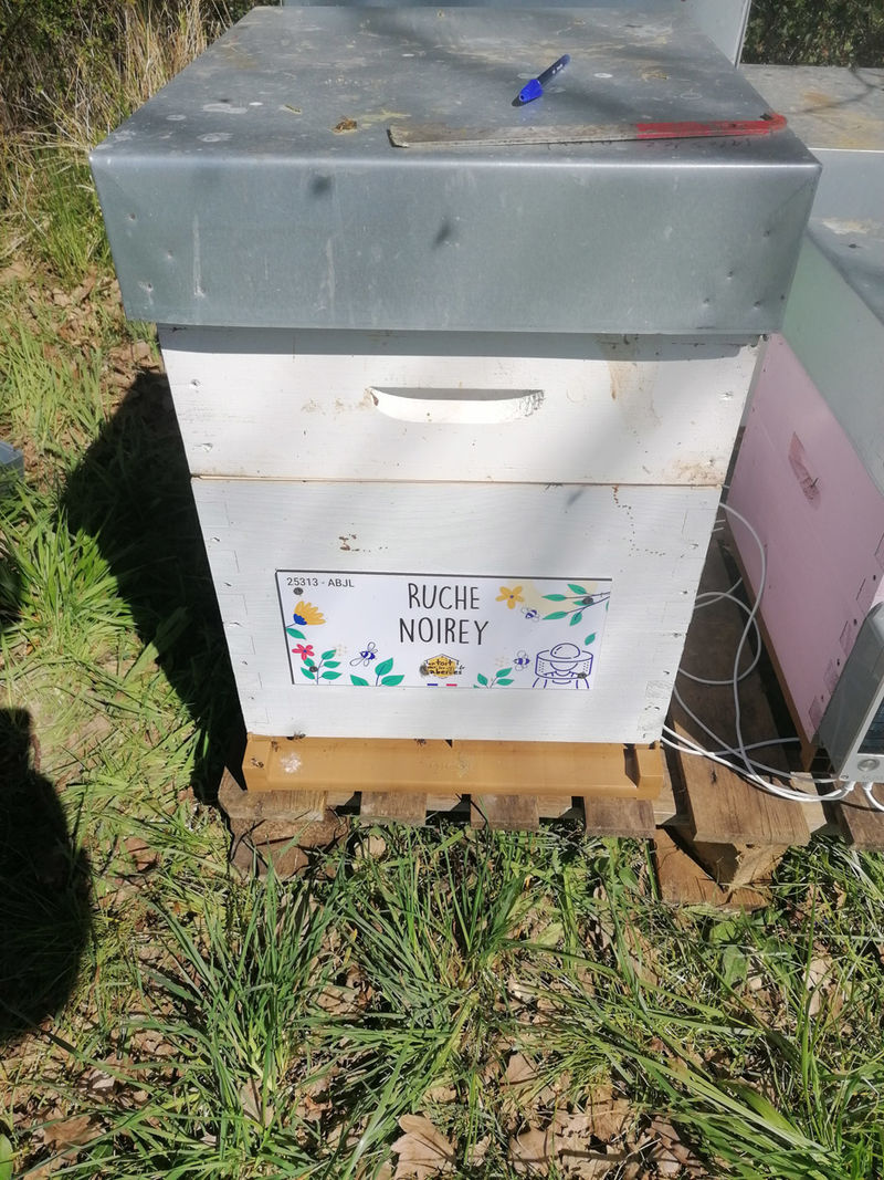 La ruche Noirey